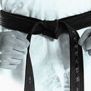 ARTES MARCIALES Y DEPORTES DE COMBATE